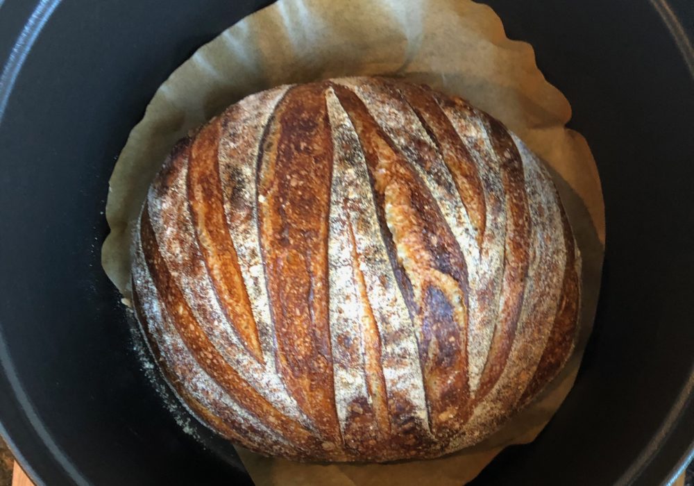 Sourdough Bread Starter Guide