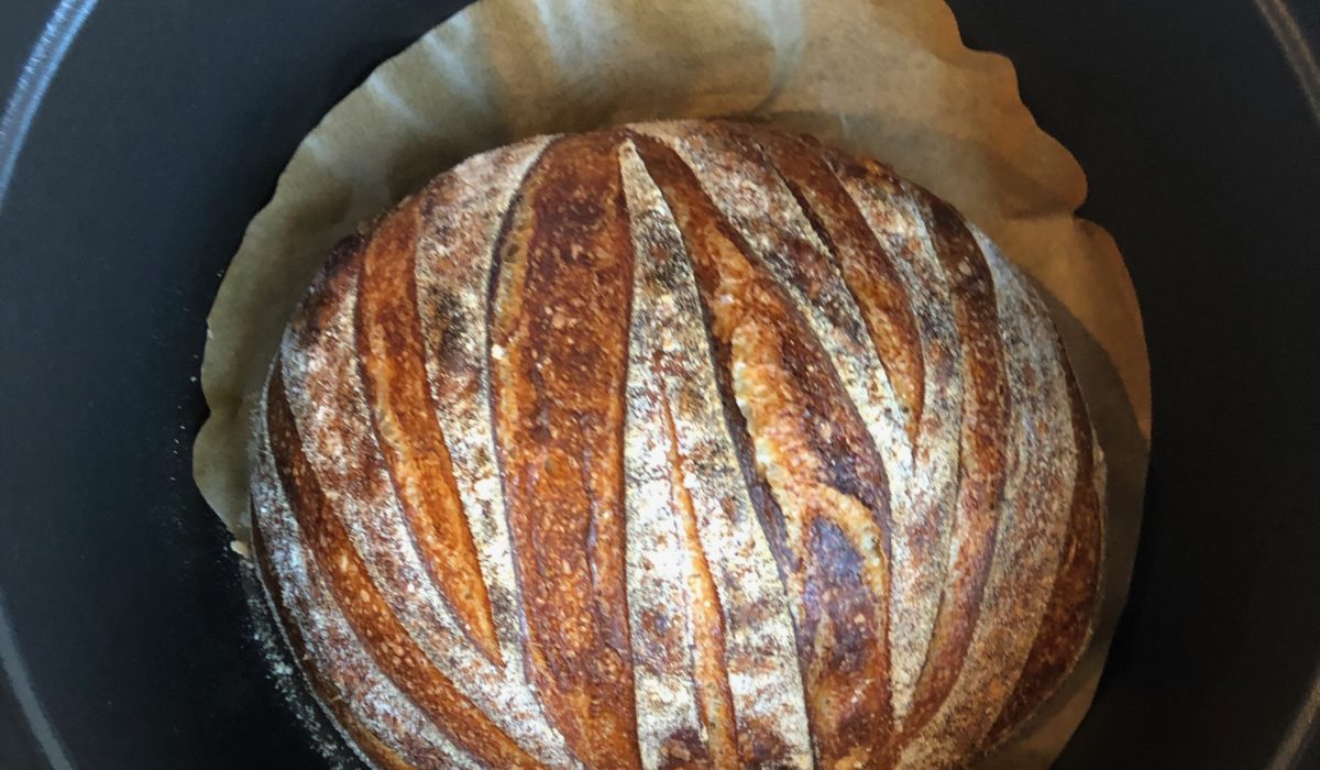 Sourdough Bread Starter Guide